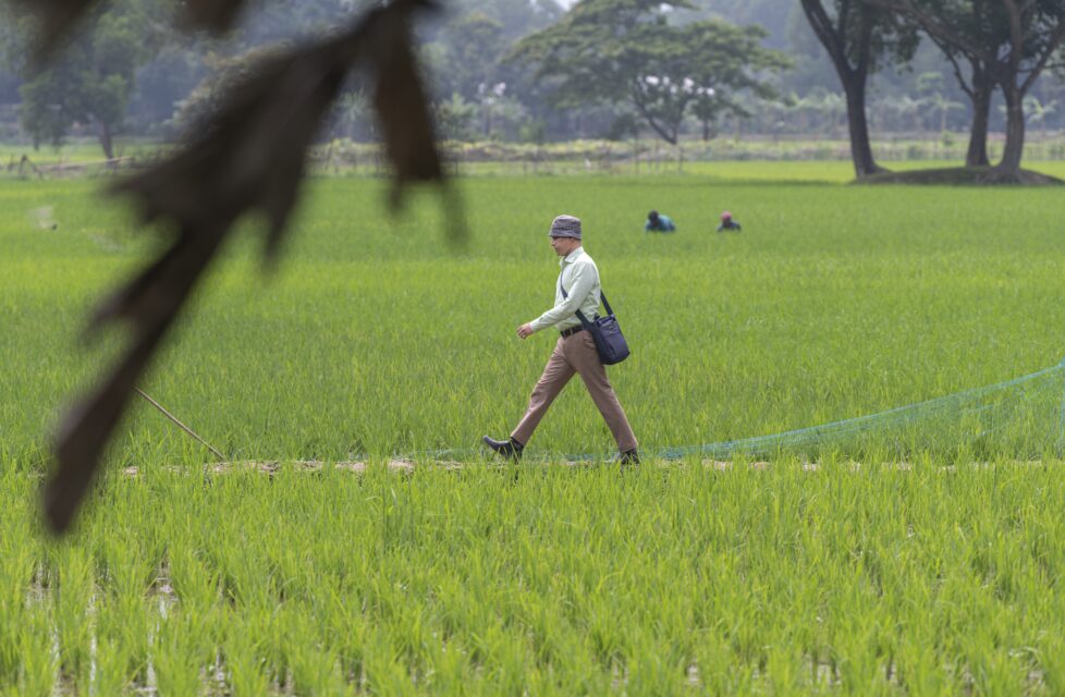 Determined to See Historic Revival in Desperate Circumstances Determined to See Historic Revival in Desperate Circumstances