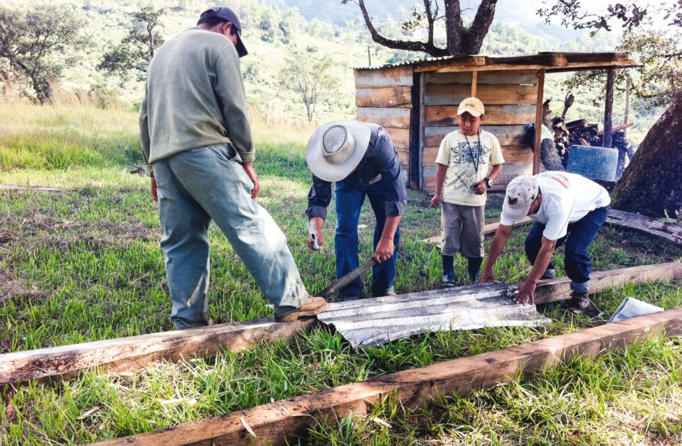 Chiapas Family Exiled from Village After Rejecting Idol Worship a group of men building a shack in their village